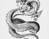 Adlerkopf Tattoo Vorlagen Wunderbar Tattoo Vorlagen 60 Kostenlose Tiermotive Tattoovorlagen