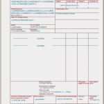 Adr Beförderungspapier Vorlage Wunderbar New Example Eg