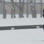 Adressänderung Mitteilen Vorlage Cool Maximilian Kolbe Werk Spenderservice