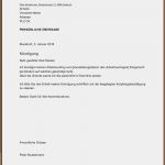 Adresse ändern Vorlage Bewundernswert 16 Brief Muster Adresse