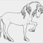 Affen Basteln Vorlage Hübsch Affen Vorlage