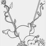 Affen Basteln Vorlage Wunderbar Die Besten 25 Ausmalbilder Mandala Ideen Auf Pinterest