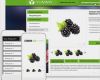 Agb Ebay Shop Vorlage Fabelhaft Responsive Ebay Shop Auktionsvorlage Design Template
