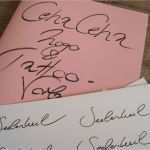 Agb Onlineshop Vorlage Schön Logoschmuck Ceha Ceha Line Shop