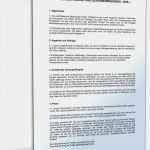 Agb Reiseveranstalter Vorlage Wunderbar Agb Für Kaufmännischen Verkehr