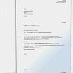 Agb Vorlage Dienstleistung Elegant Aufforderung Zur Nachbesserung Muster Vorlage Zum Download