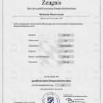 Agb Vorlage Ihk Bewundernswert Hauptschulabschluss Online Kaufen