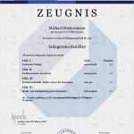 Agb Vorlage Ihk Genial Hwk Zeugnis Kaufen Hwk Zeugnisse Online Kaufen Download