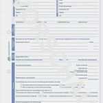 Agb Vorlage Kostenlos Beste Schön Reparaturauftragsformular Vorlage Galerie