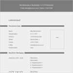 Agb Vorlage Kostenlos Schön Vorlage 19 Tabellarischer Lebenslauf