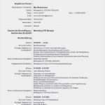 Agentur Für Arbeit Lebenslauf Vorlage Elegant 20 Lebenslauf Agentur Für Arbeit