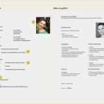 Agentur Für Arbeit Lebenslauf Vorlage Elegant Lebenslauf Lieber Rechts Oder Links Ihr Seid Gefragt