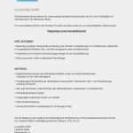 Agentur Für Arbeit Lebenslauf Vorlage Erstaunlich 20 Lebenslauf Agentur Für Arbeit