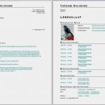 Agentur Für Arbeit Lebenslauf Vorlage Hübsch Bewerbungsvorlagen Für Libreoffice