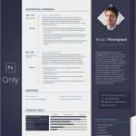 Agentur Für Arbeit Lebenslauf Vorlage Hübsch Lebenslauf Vorlage Für Marketing Agentur