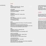 Agentur Für Arbeit Lebenslauf Vorlage Süß 20 Lebenslauf Agentur Für Arbeit