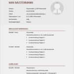 Agentur Für Arbeit Lebenslauf Vorlage Wunderbar Lebenslauf Muster &amp; Vorlagen Für Bewerbung 2019