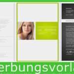 Agentur Für Arbeit Lebenslauf Vorlage Wunderbar Muster Lebenslauf Für Word Und Open Fice