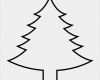 Ahnenbaum Vorlage Genial Die Besten 25 Tannenbaum Vorlage Ideen Auf Pinterest