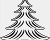 Ahnenbaum Vorlage Inspiration Tannenbaum Vorlage Zum Ausdrucken Bildergalerie Ideen