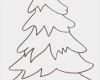 Ahnenbaum Vorlage Süß Die Besten 25 Weihnachtsbaum Vorlage Ideen Auf Pinterest