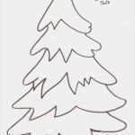 Ahnenbaum Vorlage Süß Die Besten 25 Weihnachtsbaum Vorlage Ideen Auf Pinterest