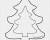 Ahnenbaum Vorlage Wunderbar Die Besten 25 Tannenbaum Vorlage Ideen Auf Pinterest