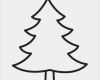 Ahnenbaum Vorlage Wunderbar Malvorlage Tannenbaum