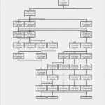 Ahnentafel Vorlage Pdf Großartig Datei Stammbaum Hohenlohe Neuenstein Pdf –