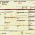 Ahnentafel Vorlage Pdf Großartig Ziemlich Stammbaum Stammbaum Vorlage Galerie Entry Level