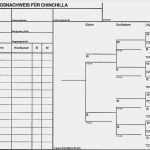 Ahnentafel Vorlage Pdf Wunderbar Ziemlich Stammbaum Stammbaum Vorlage Galerie Entry Level