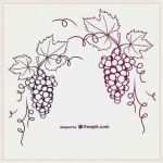 Ai Vorlagen Inspiration Ilustración Vectorial Uvas