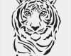 Airbrush Tattoo Vorlagen Wunderbar Die 25 Besten Tier Schablone Ideen Auf Pinterest