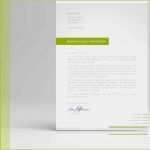 Akademischer Lebenslauf Vorlage Angenehm Lebenslauf Vorlage Design Für Word Und Open Fice