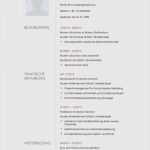 Akademischer Lebenslauf Vorlage Bewundernswert 11 Perfekt Muster Akademischer Lebenslauf Für Jede Stelle