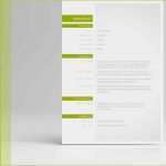 Akademischer Lebenslauf Vorlage Bewundernswert Lebenslauf Vorlage Design Für Word Und Open Fice