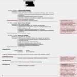 Akademischer Lebenslauf Vorlage Einzigartig 40 Neu Lebenslauf Akademischer Werdegang Yayaconnection