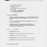 Akademischer Lebenslauf Vorlage Fabelhaft Akademischer Lebenslauf