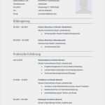 Akademischer Lebenslauf Vorlage Genial Wunderbar forschungspraktikum Lebenslauf Galerie