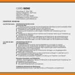 Akademischer Lebenslauf Vorlage Gut 8 Lebenslauf Für Bachelor Studium