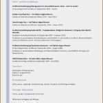 Akademischer Lebenslauf Vorlage Inspiration 11 Lebenslauf Referenzen Vorlagen123 Vorlagen123