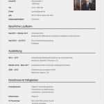 Akademischer Lebenslauf Vorlage Luxus 11 Vorlagen Muster Akademischer Lebenslauf Für Jede Stelle