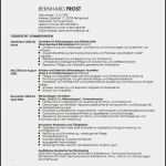 Akademischer Lebenslauf Vorlage Neu 15 Lebenslauf Apotheker