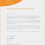 Akademischer Lebenslauf Vorlage Neu 40 Neu Lebenslauf Akademischer Werdegang Yayaconnection