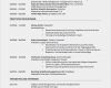 Akademischer Lebenslauf Vorlage Neu Tabellarischer Lebenslauf Zum Download