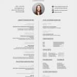 Akademischer Lebenslauf Vorlage Schönste Lebenslauf Inhalt Als Schlüssel Zum Erfolg