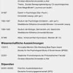 Akademischer Lebenslauf Vorlage Schönste Wissenschaftlicher Lebenslauf