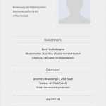 Akademischer Lebenslauf Vorlage Wunderbar 11 Perfekt Muster Akademischer Lebenslauf Für Jede Stelle