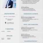 Akademischer Lebenslauf Vorlage Wunderbar Die Besten 25 Lebenslauf Ideen Auf Pinterest