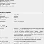 Akademischer Lebenslauf Vorlage Wunderbar Wissenschaftlicher Lebenslauf